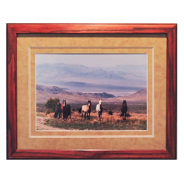 Product image of  Wild Horses at Cold Creek, NV – Framed print