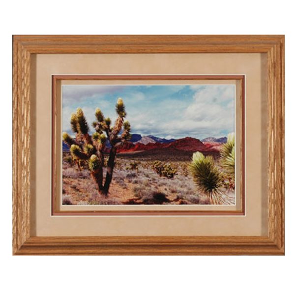 Made in Nevada Joshua Blooms at Red Rock, NV – Framed print