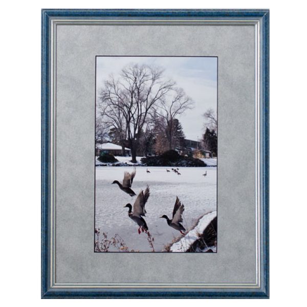 Product image of  Idlewild Park, Reno. NV – Framed print