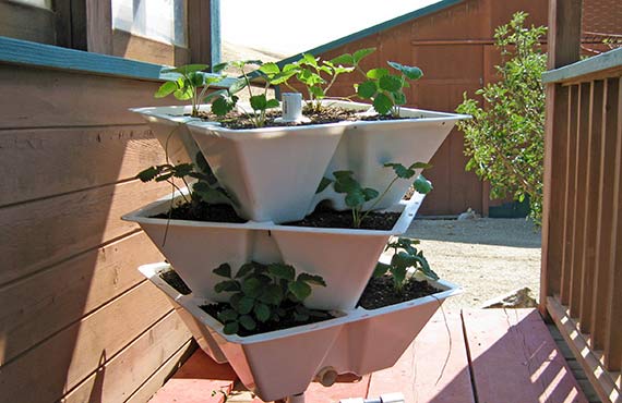 Made in Nevada Stackable Grow Pot for Home Gardens