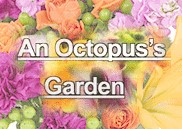 An Octopus's Garden Logo