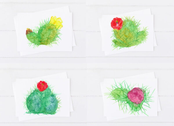 Product image of  Cactus Desert Flowers Botanical Card Set