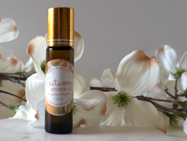 Product image of  Cinnamon Orange Soap Lotion Perfume Essential Oil Gift Set
