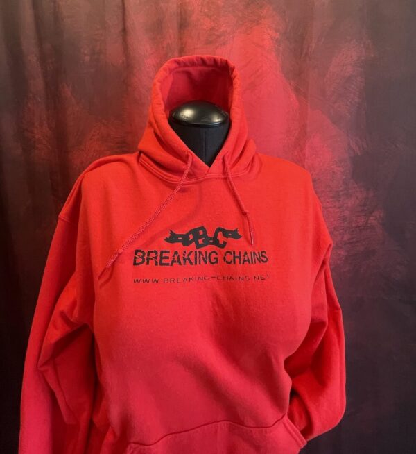 Product image of  Due Set: BC Due Hoodies
