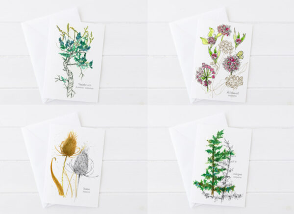 Made in Nevada Desert Plants Botanical Greeting Card Set