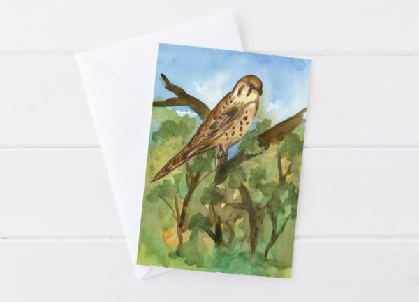Product image of  Raptors Greeting Card Set Birds Of Prey Desert Landscapes