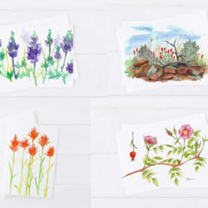 Made in Nevada Desert Wildflowers Blank Greeting Card Set Lupines Indian Paintbrush