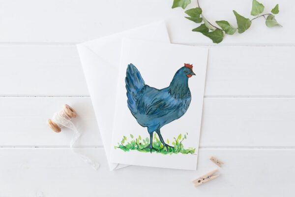 Made in Nevada Chickens Blank Greeting Card Set Rhode Island Red Leg Horn Hen