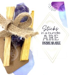 Made in Nevada Intuition Bundle, Palo Santo & Amethyst Wand