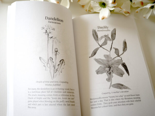 Product image of  Victorian Flora Language of Flowers Handbook Floriography