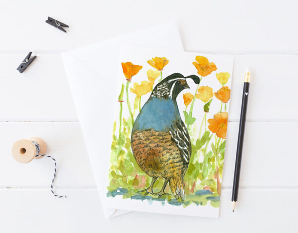 Product image of  California Poppies Quail Bird Blank Greeting Card Set