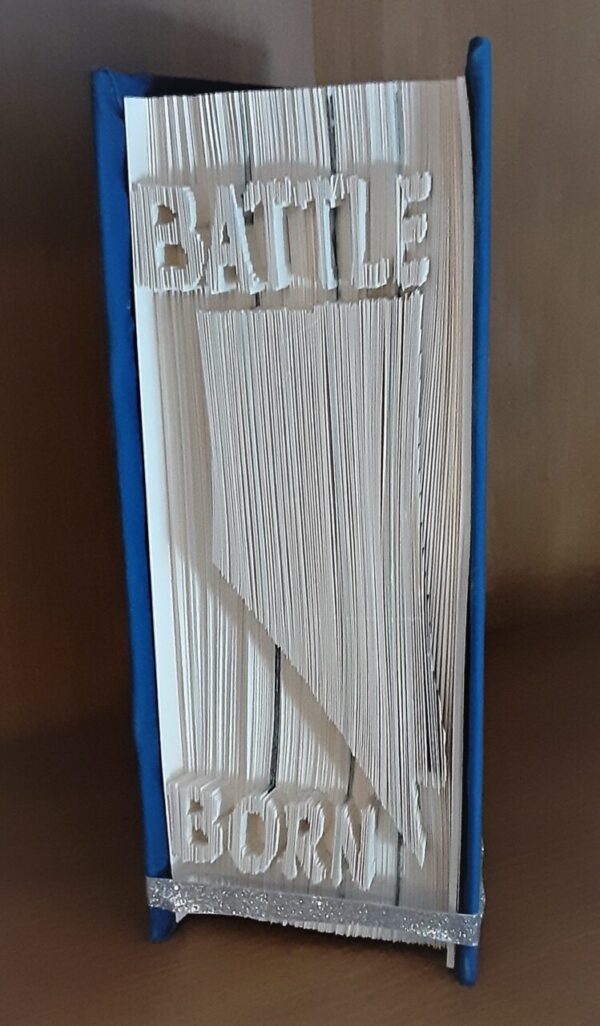 Product image of  Battle Born Folded Book