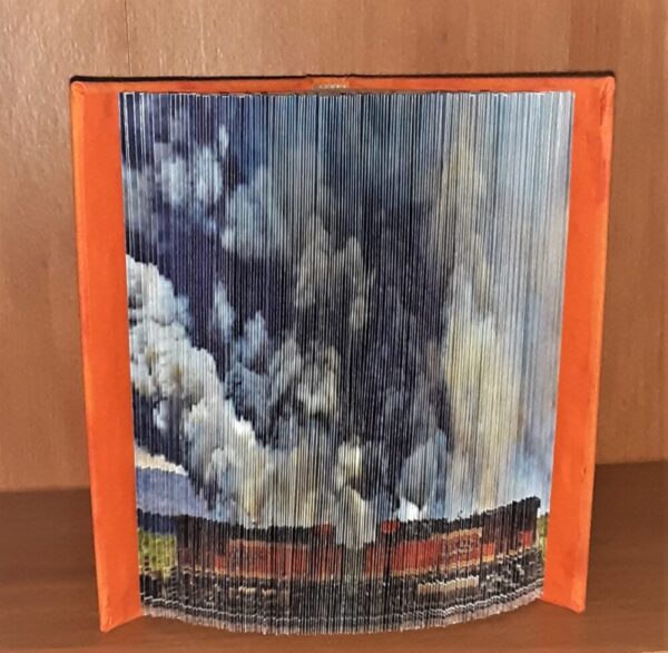 Made in Nevada Brush Fire with Trains Photo Book
