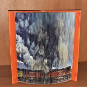 Product image of  Brush Fire with Trains Photo Book