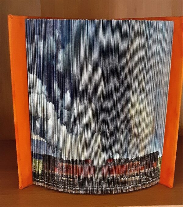 Product image of  Brush Fire with Trains Photo Book