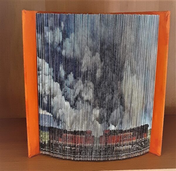 Made in Nevada Brush Fire with Trains Photo Book