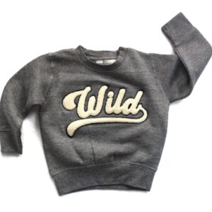 Product image of  Wild Varsity Pullover Sweatshirt (Kids)