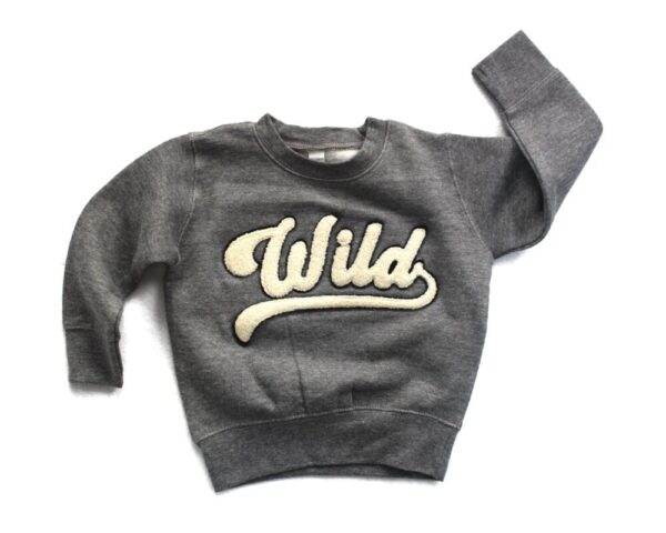 Product image of  Wild Varsity Pullover Sweatshirt (Kids)
