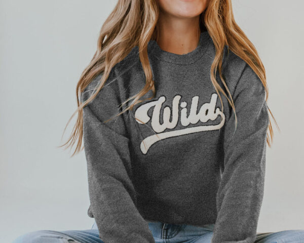 Product image of  Wild Varsity Gray Pullover Sweatshirt (UNISEX)