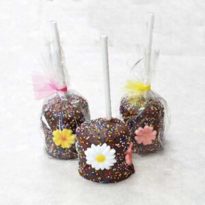 Giant Chocolate Dipped Marshmallows