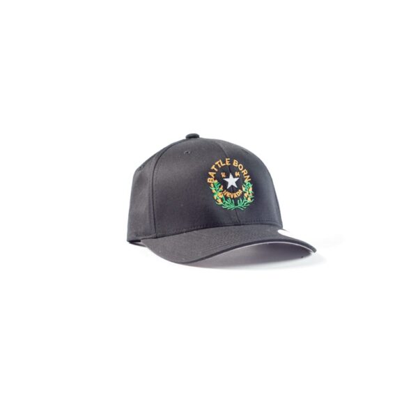 Product image of  Battle Born Classic Hat