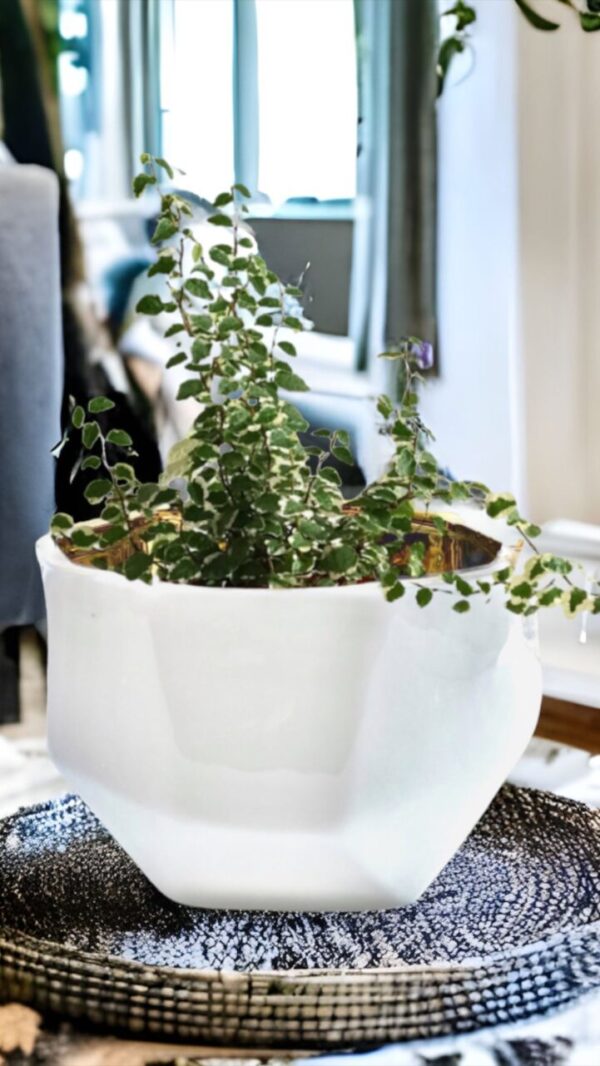 Product image of  Handmade Elegant White & Gold Ceramic Planter/Pot