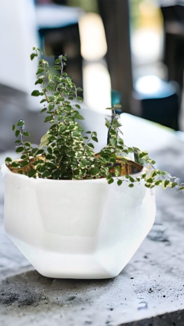 Product image of  Handmade Elegant White & Gold Ceramic Planter/Pot
