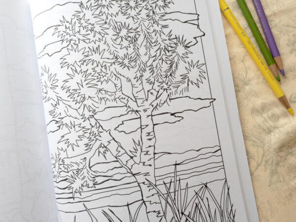 Product image of  Home Means Nevada Coloring Book