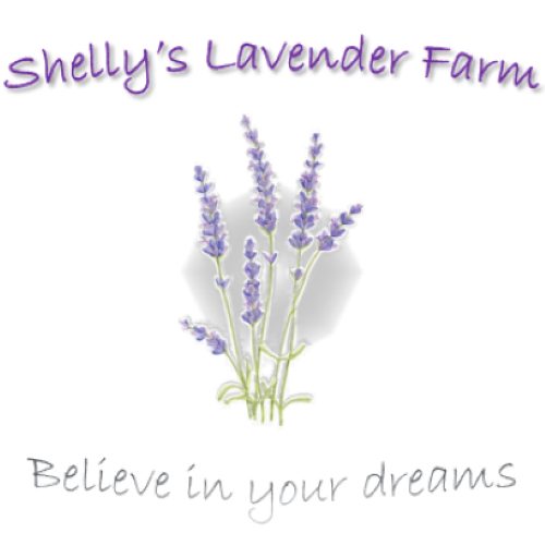 Shelly’s Lavender Farm LLC Logo