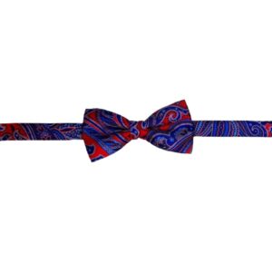 Product image of  Purple paisley bowtie with red