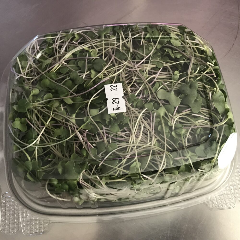 Micro Broccoli – Made in Nevada