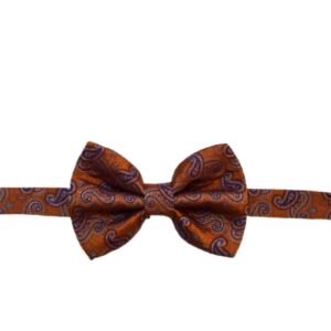 Product image of  Orange bowtie with paisley