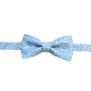Product image of  Light blue necktie with large white paisley