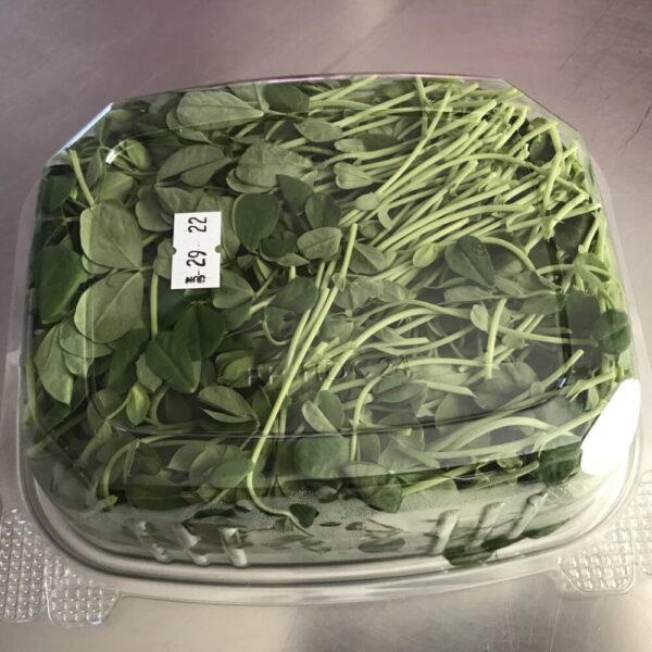 Product image of  Pea Shoots