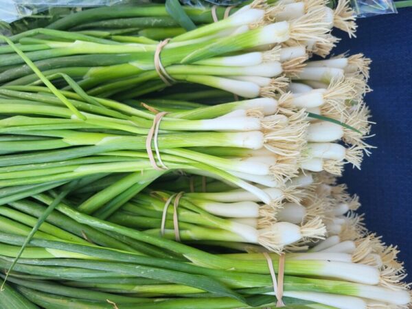 Green Onions