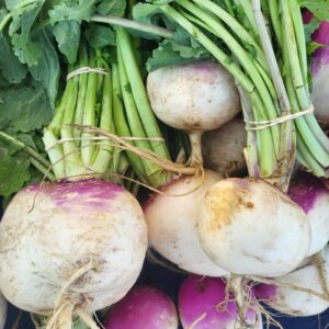 Purple Top Turnips