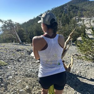 K35 Special Tank Edition