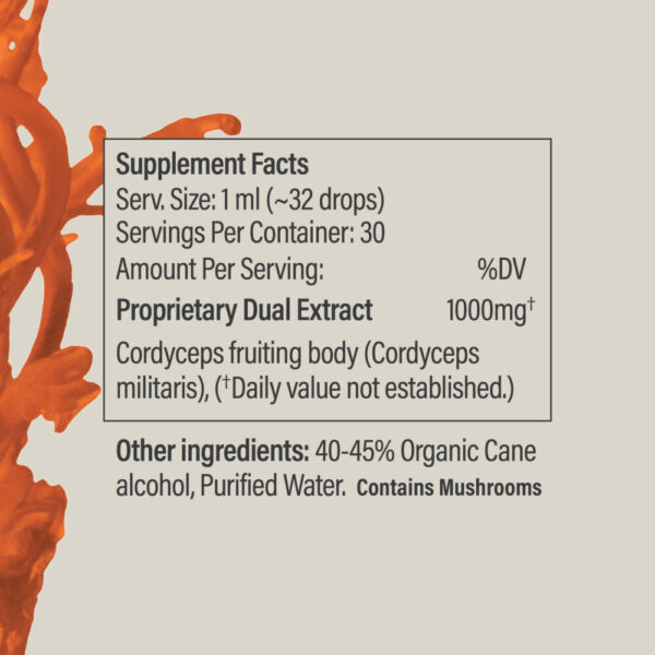 Cordyceps Tincture