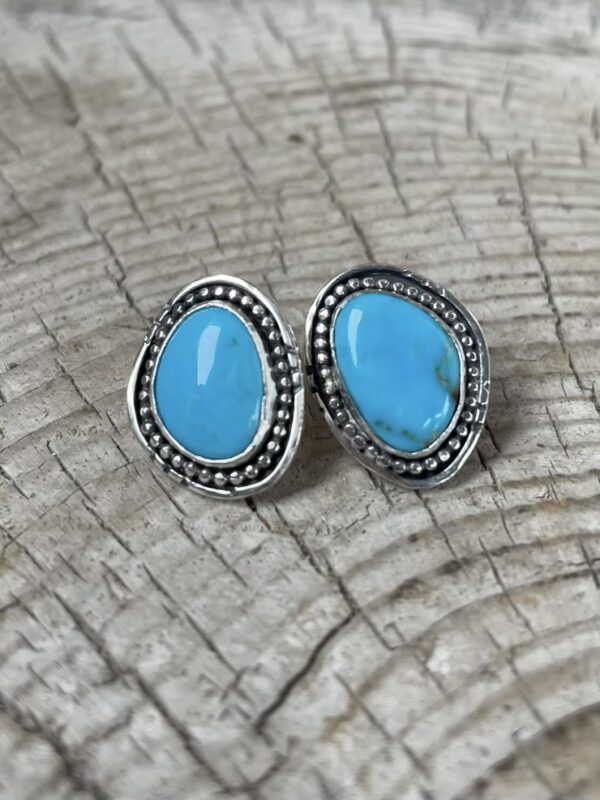 Sonoran Studs