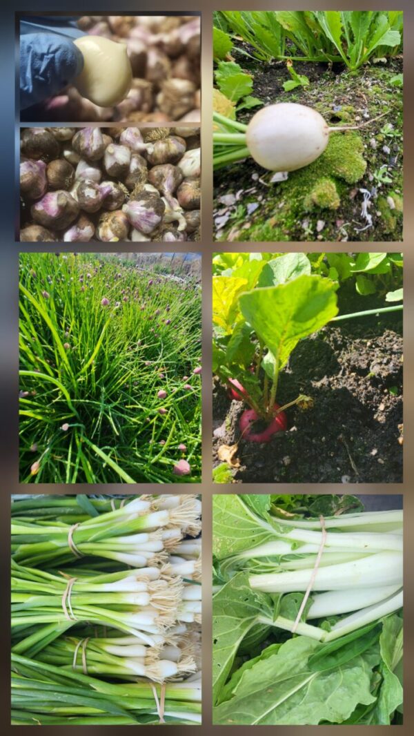 Seasonal Vegetable Box with Eggs