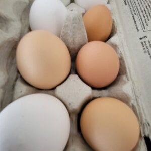 Eggs, 4 dozen