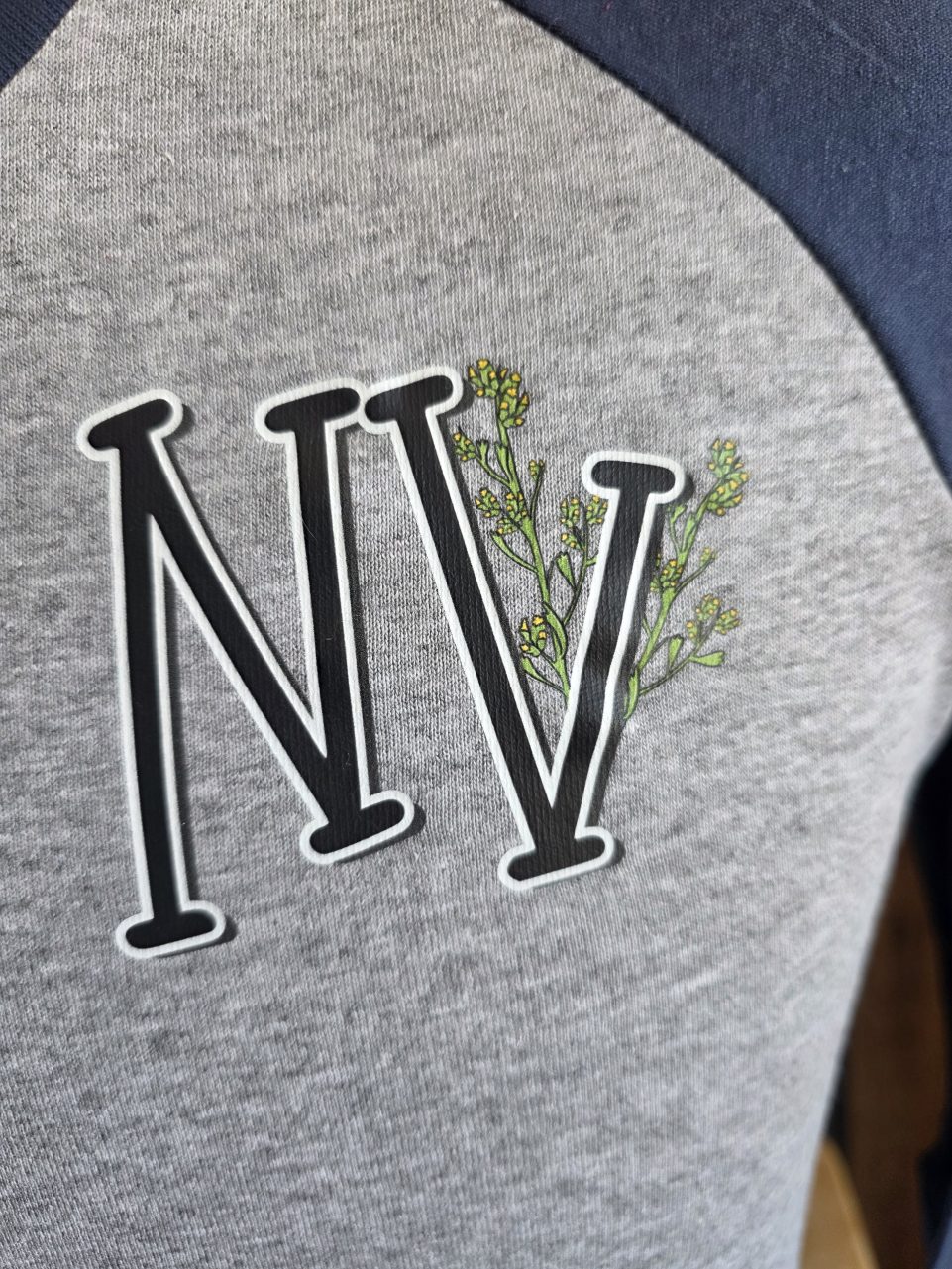 Sagebrush Raglan Sleeve Tee