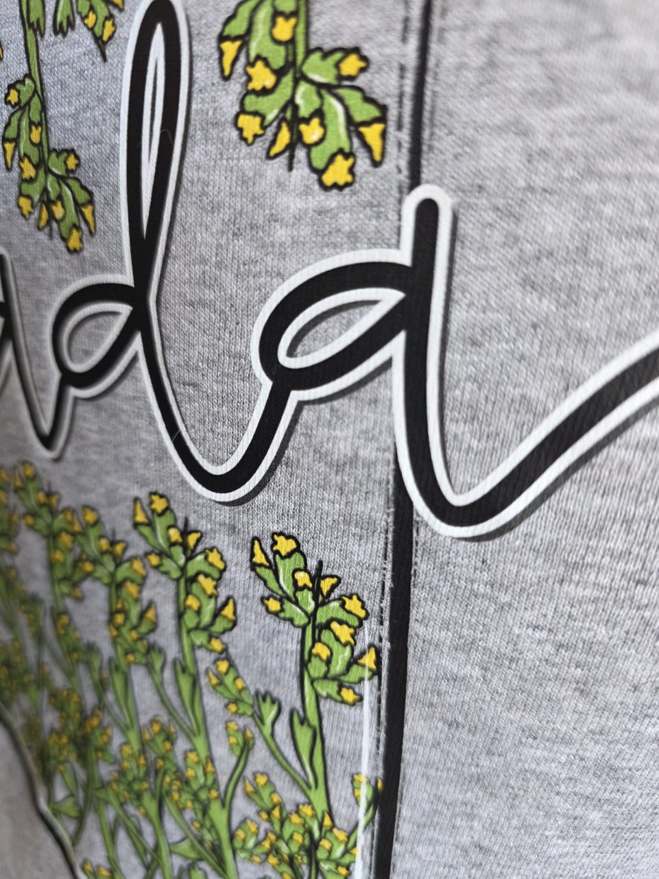 Sagebrush Raglan Sleeve Tee