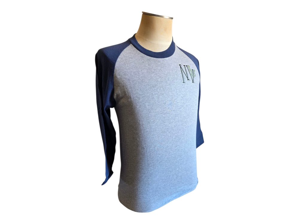 Sagebrush Raglan Sleeve Tee