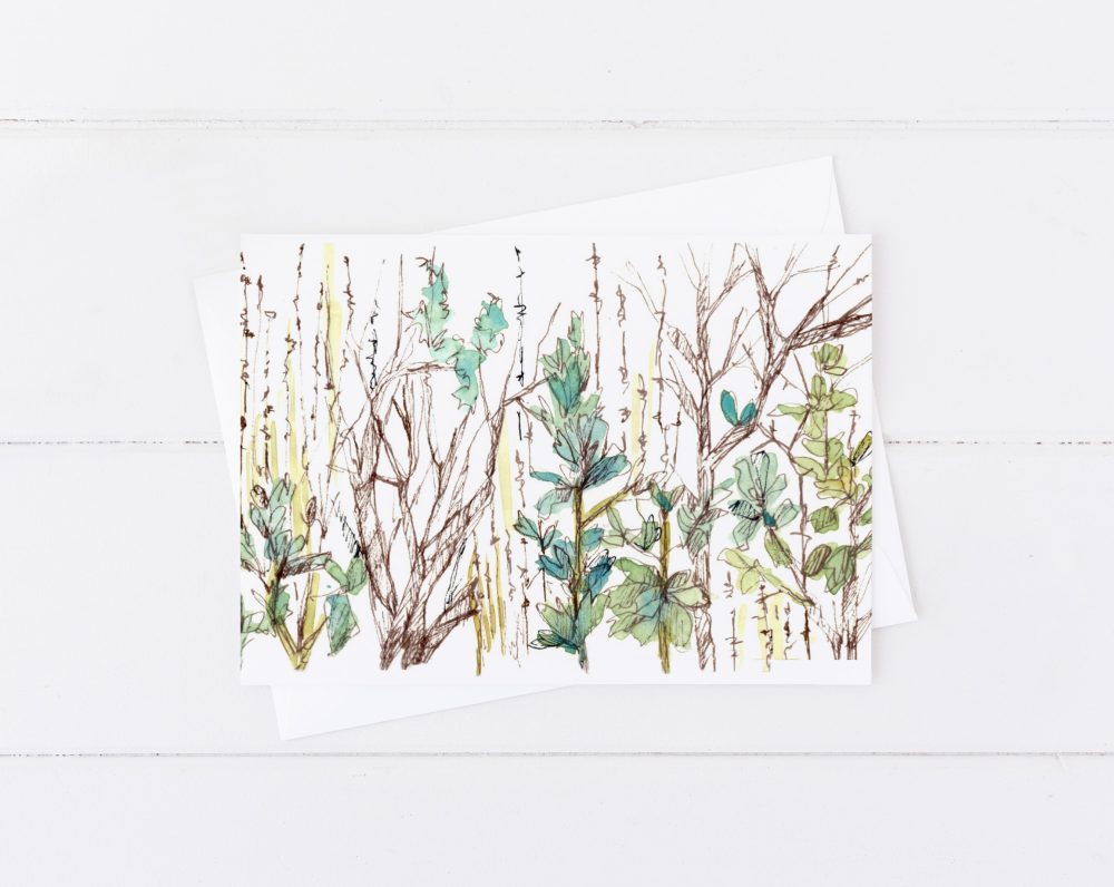 Desert Wildflowers Indian Paintbrush Lupines Primrose Blank Card Set