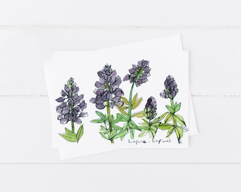 Desert Wildflowers Indian Paintbrush Lupines Primrose Blank Card Set