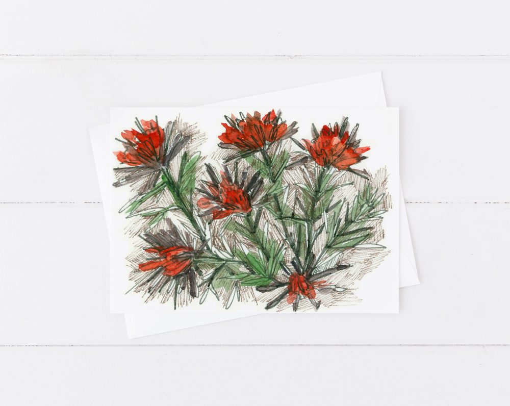 Desert Wildflowers Indian Paintbrush Lupines Primrose Blank Card Set