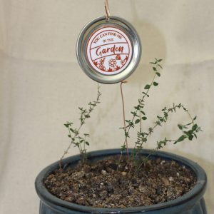 Electroculture Plant Stake