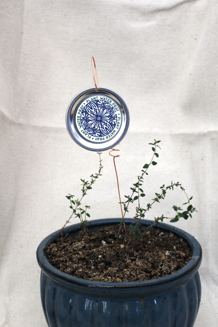 Electroculture Plant Stake