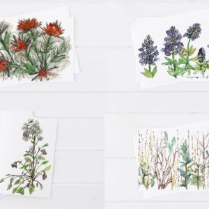 Desert Wildflowers Indian Paintbrush Lupines Primrose Blank Card Set